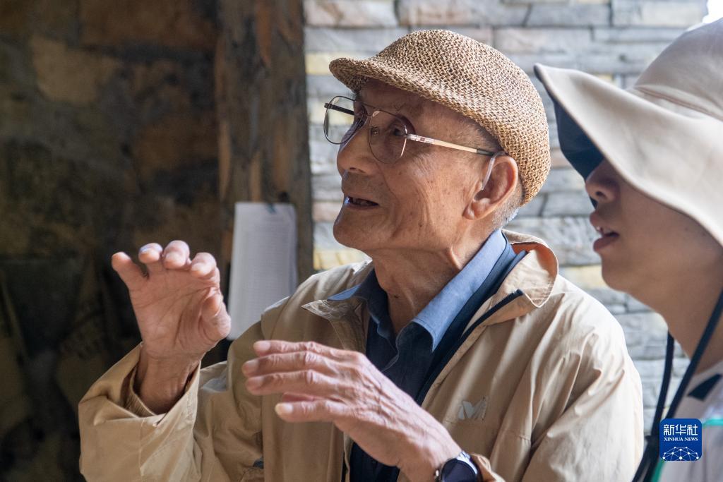 百人森林舞会